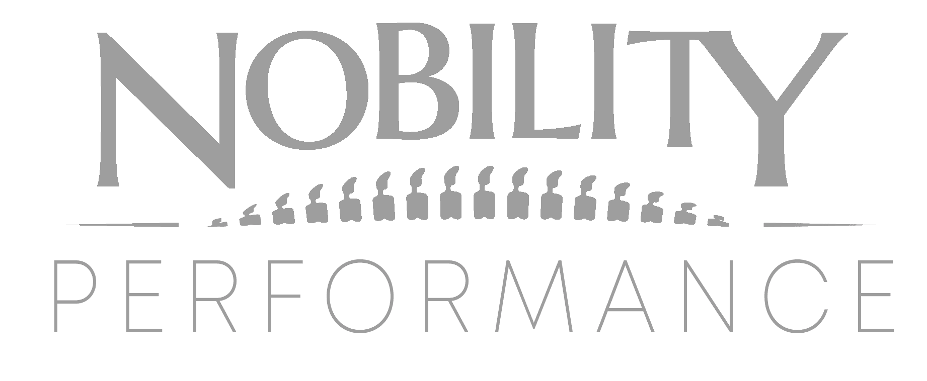 noblity performance grey